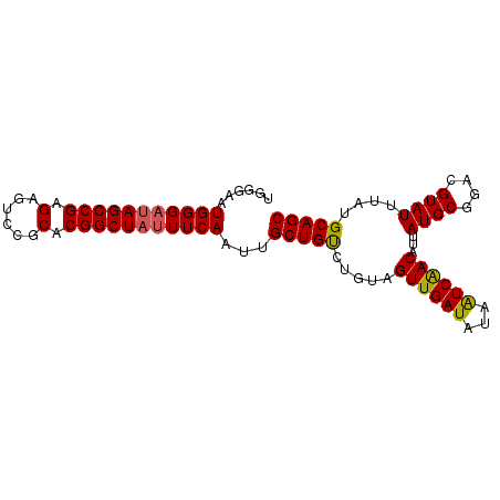 secondary structure
