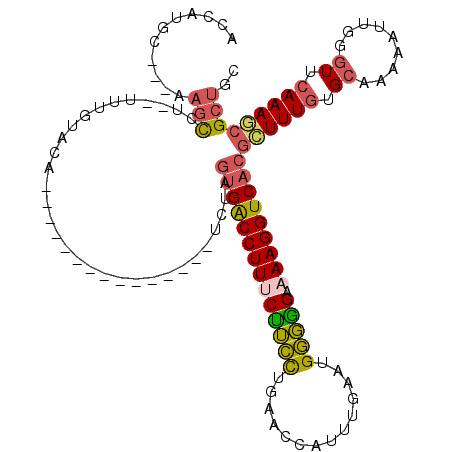 secondary structure