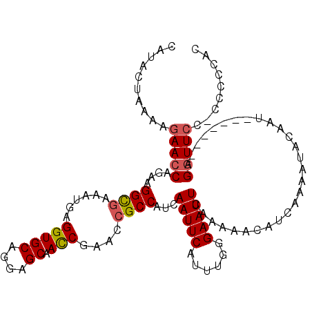 secondary structure