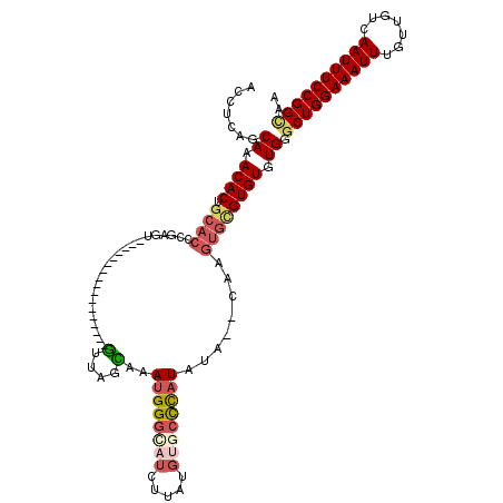 secondary structure