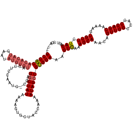 secondary structure