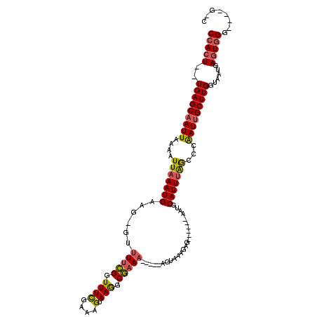 secondary structure