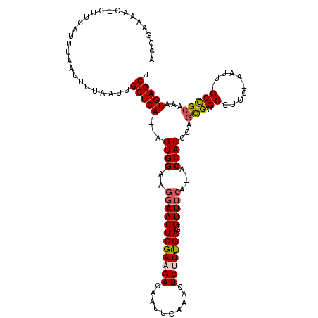 secondary structure