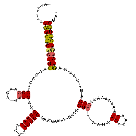 secondary structure