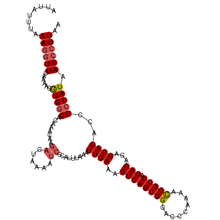 secondary structure