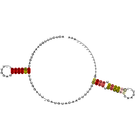 secondary structure