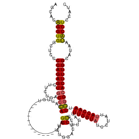 secondary structure