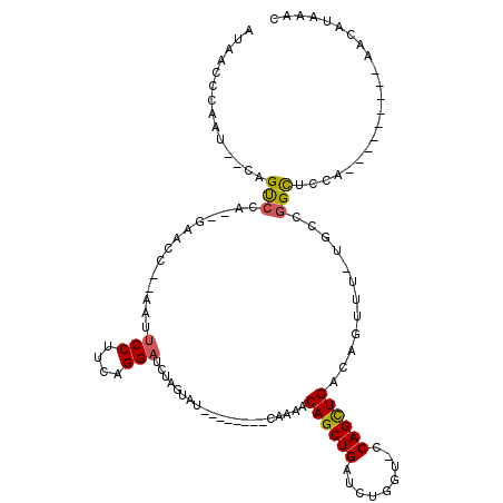 secondary structure