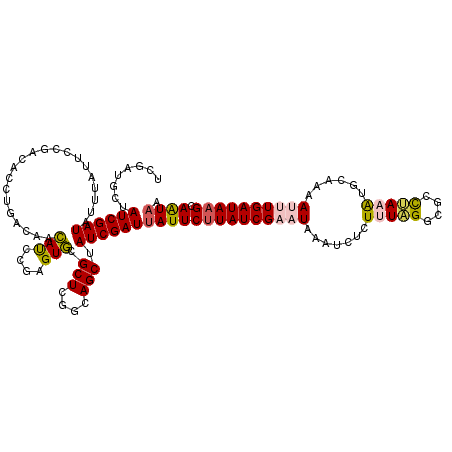 secondary structure
