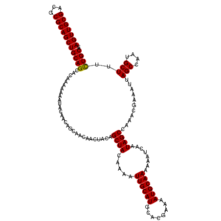 secondary structure
