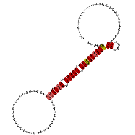 secondary structure