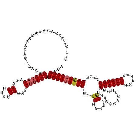 secondary structure