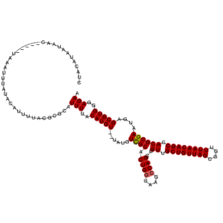 secondary structure