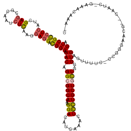 secondary structure