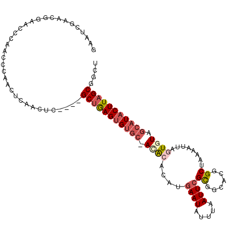 secondary structure