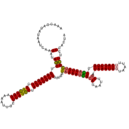 secondary structure