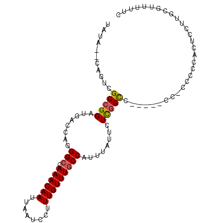 secondary structure