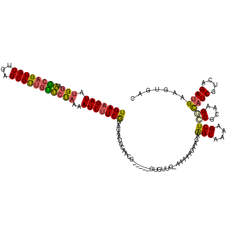 secondary structure