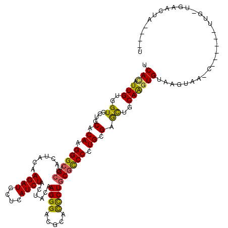 secondary structure