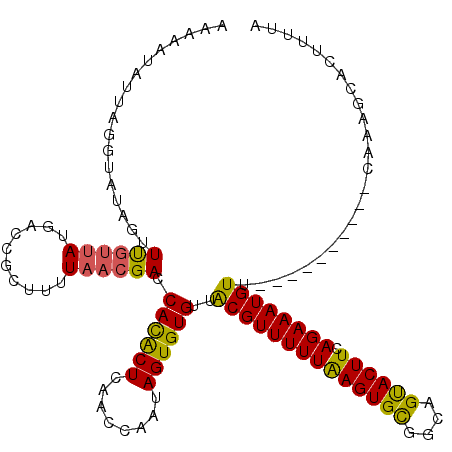 secondary structure
