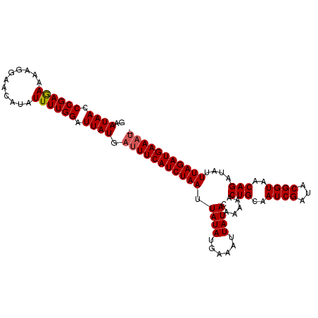 secondary structure