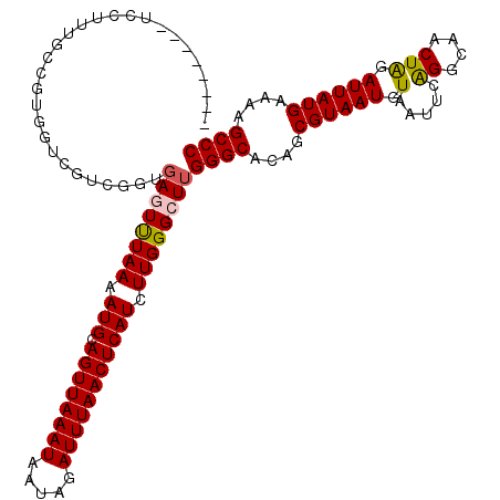 secondary structure