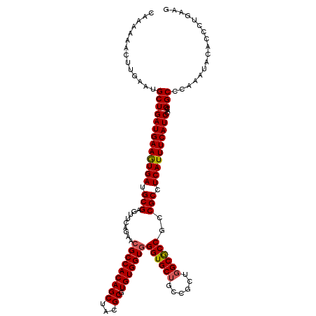secondary structure