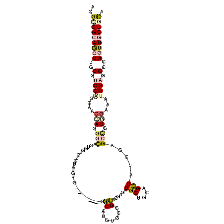 secondary structure