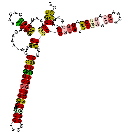 secondary structure