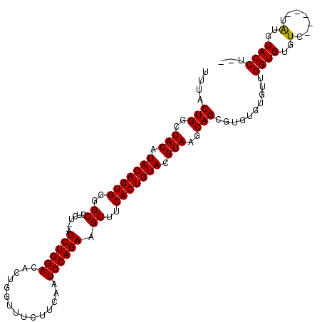 secondary structure