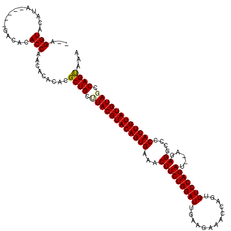 secondary structure