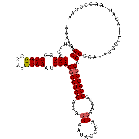 secondary structure