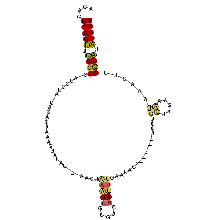 secondary structure