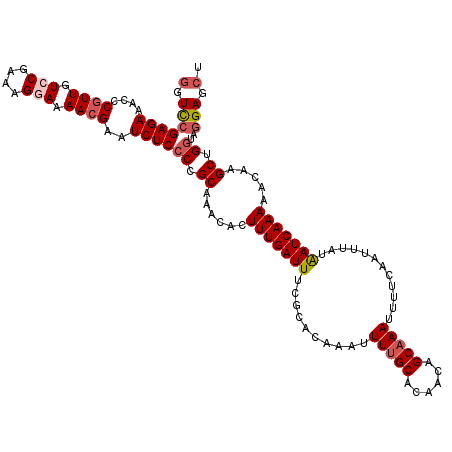 secondary structure