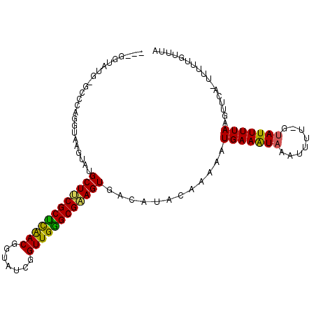 secondary structure