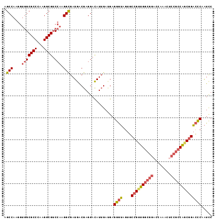 dotplot