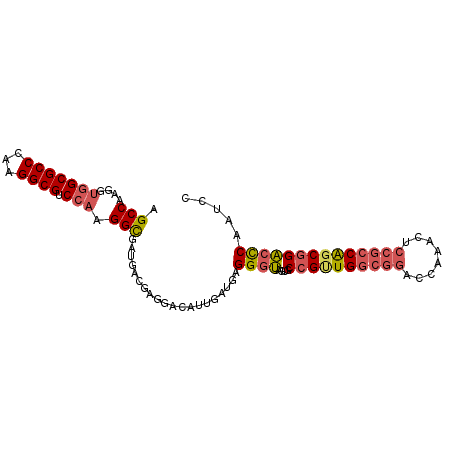 secondary structure