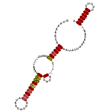 secondary structure