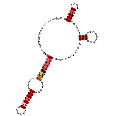 secondary structure