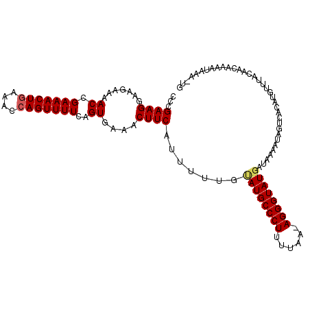 secondary structure