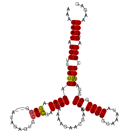 secondary structure
