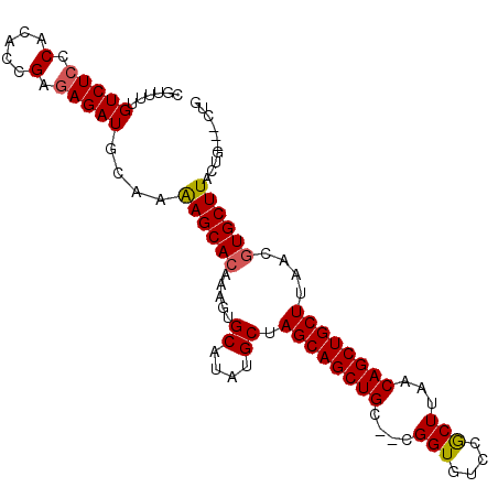secondary structure