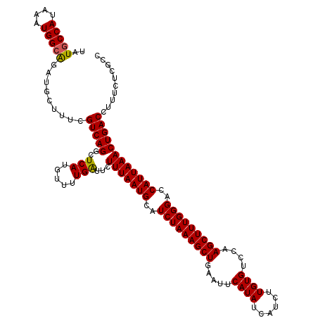 secondary structure