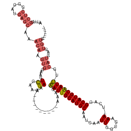 secondary structure