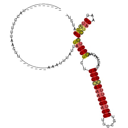 secondary structure