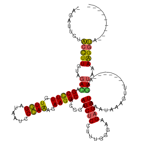 secondary structure