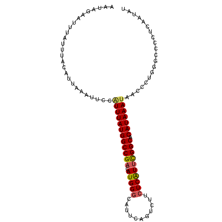 secondary structure