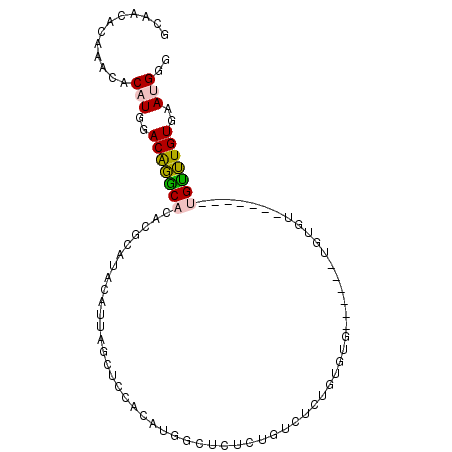 secondary structure