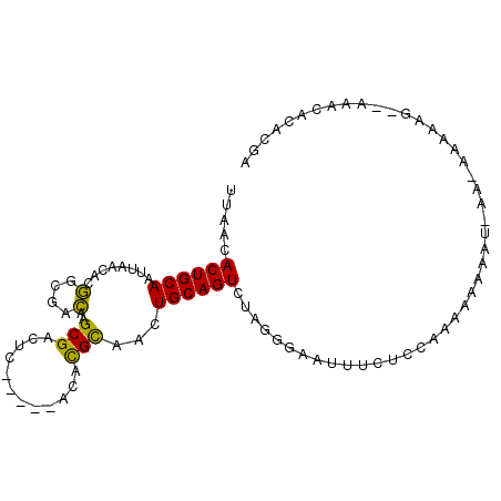 secondary structure