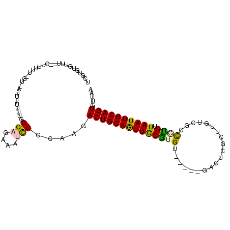 secondary structure